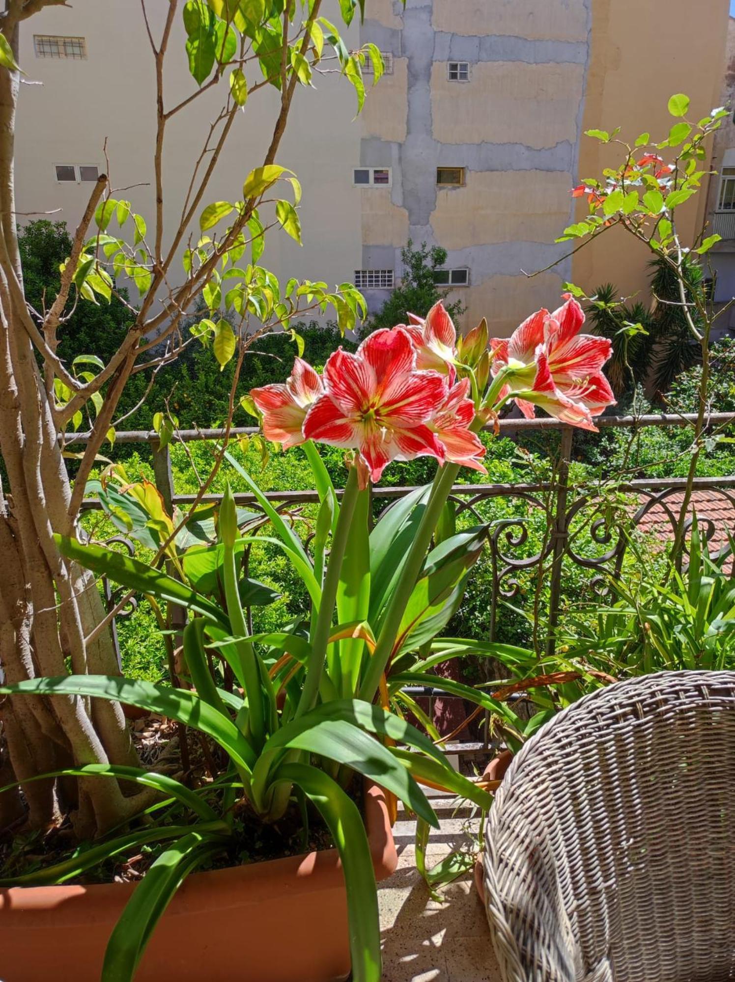 Apartmán Cuba'S Art House Palermo Exteriér fotografie